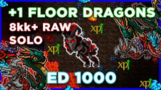 ED 1000 83kk Raw 15kk Profit SOLO HUNT  1 Floor Dragons Nimmersatts  Tibia [upl. by Macgregor]