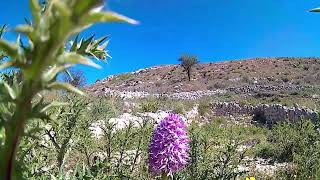 Montagna di Ramacca [upl. by Amalbergas]