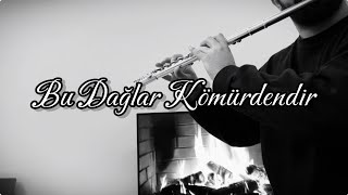 Bu Dağlar Kömürdendir  Yan Flüt  Flute   Fizyo Müzik [upl. by Nylknarf356]