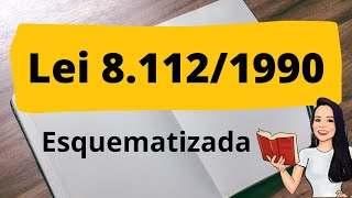 LEI 811290  ANÁLISE ESQUEMATIZADA  Resumo dos principais pontos da Lei 811290  Lei 811290 [upl. by Joete]
