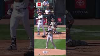 Gavin Sheets sends one outta here homerun mlb highlights [upl. by Junina664]