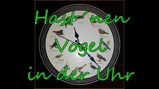 Vogelstimmenuhr [upl. by Hsakiv765]