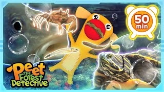 Underwater Wonders Aquatic Life Explored  Peet The Forest Detective [upl. by Daile870]