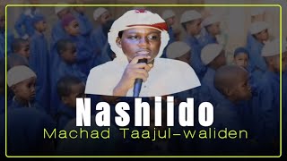 AHMED AL BADRI  NASHIIDO 2024 TAAJUL WALIDEYN OFFICIAL VIDEO [upl. by Ozzie]