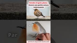 AQUARELLE Peindre daprès photo  encore une petite astuce intéressante aquarelle [upl. by Sral]