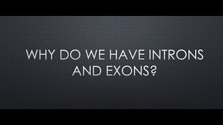 Why do we have introns and exons [upl. by Edyaj]