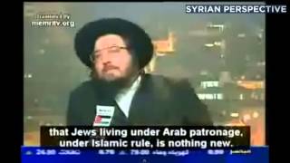 Orthodox Jews Speaking Against Zionist Controlled Israel [upl. by Llerreg924]