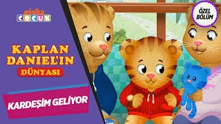 Kaplan Danielın Dünyası 🐯  Kardeşim Geliyor  MinikaÇOCUK [upl. by Inavoy529]