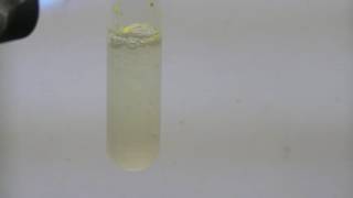 Cadmium Chemistry Cadmium Sulfide via Sodium Polysulfide [upl. by Anirtruc690]