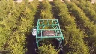 Enjambeur de récolte prunes 2016 drone orchard harvest plum [upl. by Ahsekam]