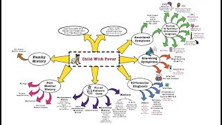 Child with Fever  OSCE [upl. by Nwhas]