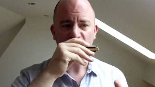 Harmonica Octaves Part 1 Blues Harmonica Lesson [upl. by Vedette]