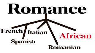 Was there ever an AFRICAN romance language [upl. by Aehtrod]