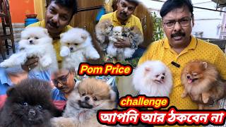 Pomeranian dog lover আপনি আর ঠকবেন না☺️Pomeranian dog price amp full information [upl. by Veradia]