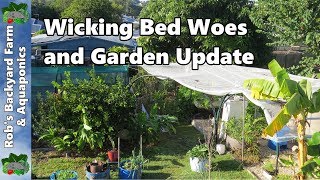 Wicking Bed Woes amp Garden Update [upl. by Asiralc]