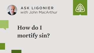 How do I mortify sin [upl. by Eisoj]