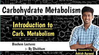 Introduction  Carbohydrate Metabolism  Biochemistry Lectures [upl. by Gnal]