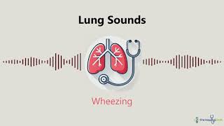 Lung Sounds Wheezing [upl. by Bundy]