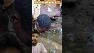 Water drinking style fishing fish africa catfish nature [upl. by Jorrie]