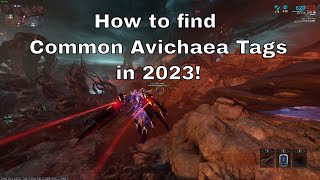 Warframe  How to find Common Avichaea Tags in 2023 [upl. by Faux]