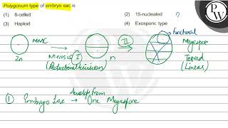 Polygonum type of embryo sac is 1 8celled 2 15nucleated 3 Haploid 4 Exosporic type [upl. by Lleraj602]