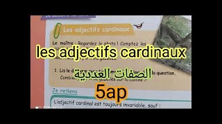 les adjectifs cardinaux اول درس للسنة الخامسة ابتدائي [upl. by Suirad]