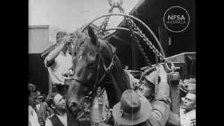 ATCtv  Excerpt from the Mighty Conqueror  Phar Lap [upl. by Nnylsoj]