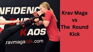 Krav Maga vs a round Kick [upl. by Ynitsed]