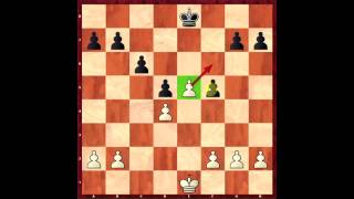 Chess Basics How it Works En Passant [upl. by Anauqal]