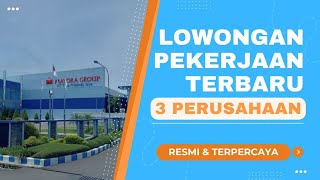 Lowongan Kerja 3 Perusahaan Terbaru  NOVEMBER 2024 [upl. by Hermie]