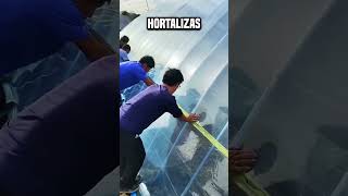 Después de todo ¿por qué los chinos están prendiendo fuego al oleoducto😮 shortsvideo [upl. by Eiramlirpa]