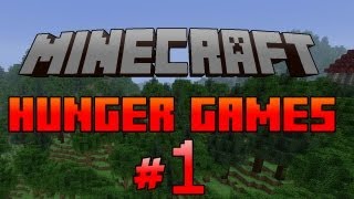 Minecraft Hunger Games ITA Ep1  VITTORIA LAGGANTE [upl. by Yrtnahc629]