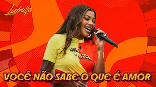 LUDMILLA  Você Não Sabe o Que É Amor  Numanice 3 [upl. by Portuna662]