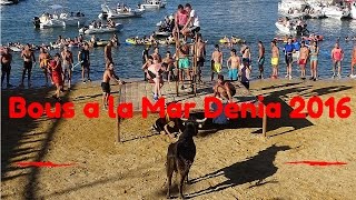 Bous a la mar  Stiere ins Meer Denia 2016 [upl. by Norreg565]