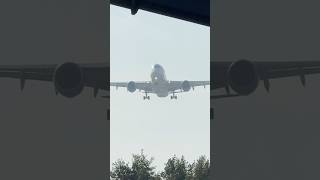 AIRBUS A350941 CORENDON AIRLINES WILLEMSTAD TO AMSTERDAM LANDING SCHIPHOL PLANE SPOTTING ECNZF [upl. by Tur]