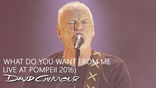 David Gilmour  What Do You Want from Me Live At Pompeii [upl. by Llenram862]