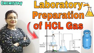 Laboratory Preparation of HCL Gas Hydrogen Chloride Class10 ICSE Chemistry Semester2 Offline [upl. by Eibor808]