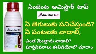 amistar top syngenta fungicide full details in telugu  BB agriculture telugu [upl. by Friday]