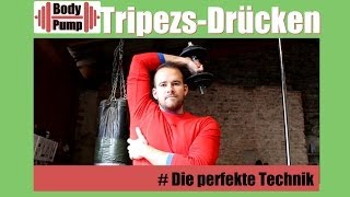 Trizeps  Drücken  Trizepsstrecker  Armtraining   Die perfekte Technik  Korrekte Ausführung [upl. by Ylimme]