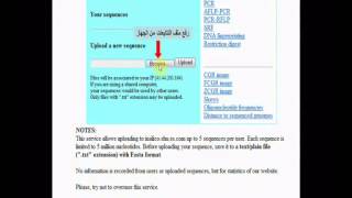 محاضرة للدكتور احمد منصور الزهيري بعنوانPCR تفاعل الافتراضى In Silico PCR [upl. by Gowrie]