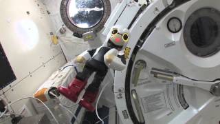 Kirobo Speaks Japanese Talking Robots First Words In Space  Video [upl. by Fiorenza576]