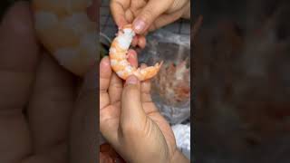 At the weekend a shrimp is dipped in the sauce and tastes delicious [upl. by Udele]