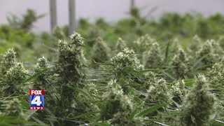 Missouri voters approve recreational marijuana [upl. by Anihsat]