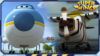 SUPERWINGS S1 BELLO amp BIG WING  Superwings  Super Wings  S1 Character Compilation [upl. by Fairweather]