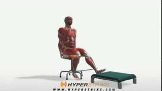 Exercise Videos AutoBand Leg Curl  Seated [upl. by Ku]