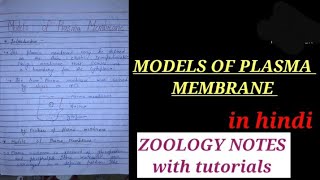 MODELS OF PLASMA MEMBRANE IN HINDI fluidmossaicmodel plasmamenranemodels zoologynotescellbiology [upl. by Hafinah323]