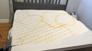 How to Clean Pee Off a Memory Foam Mattress [upl. by Aisiram]