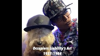 Occupiers Liability Act 1957 amp 1984 Tort Law [upl. by Junieta826]