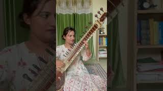 Piku sarod theme [upl. by Azeria]