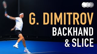 Grigor Dimitrov  Court Level Practice Backhand amp Backhand Slice Slow Motion 2021 240fps [upl. by Nivets993]